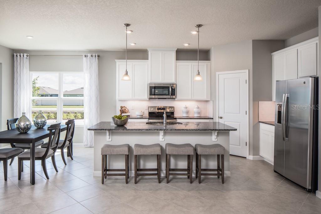 1100 OCEAN LODGE RD, LADY LAKE, FL, 32159