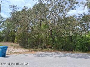 9159 LIBERATOR CT, SPRING HILL, FL, 34608