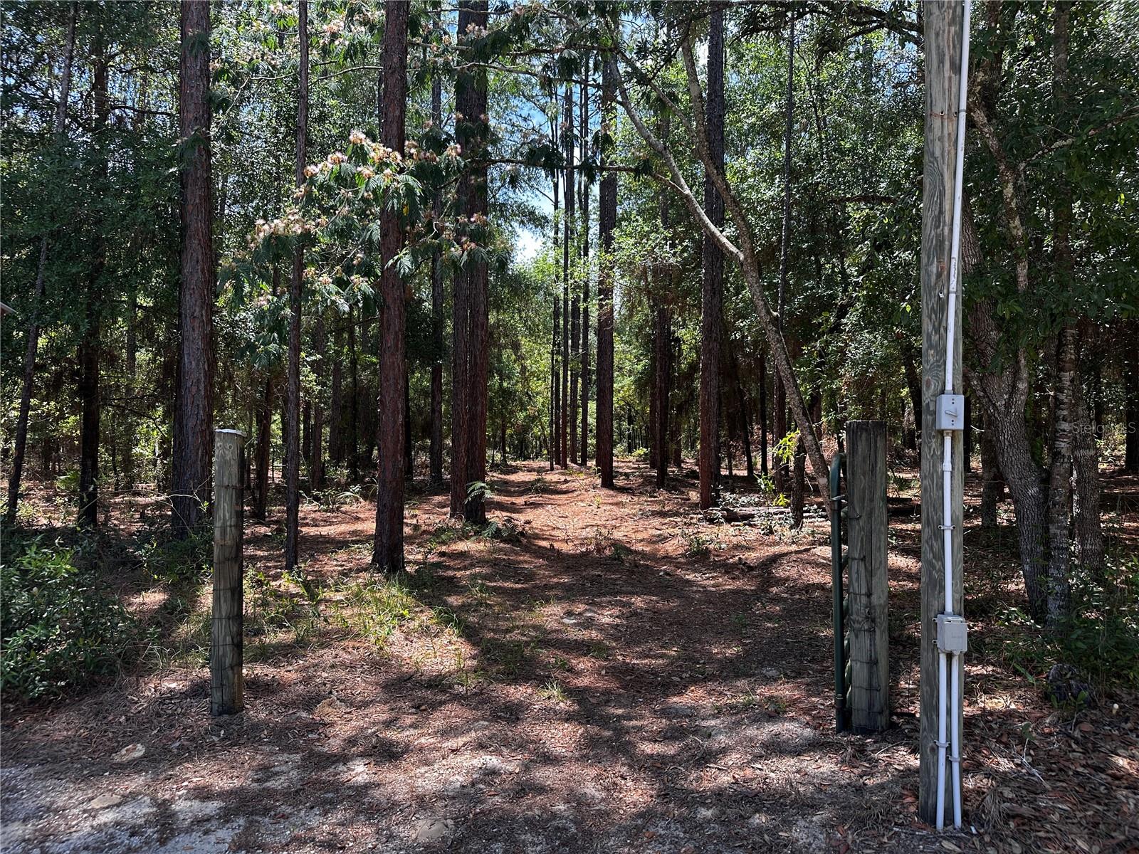 3890 SW 189TH AVE, DUNNELLON, FL, 34432