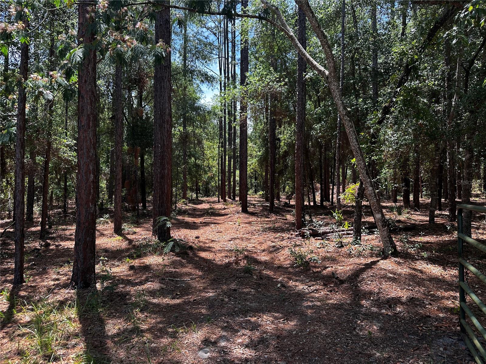 3890 SW 189TH AVE, DUNNELLON, FL, 34432