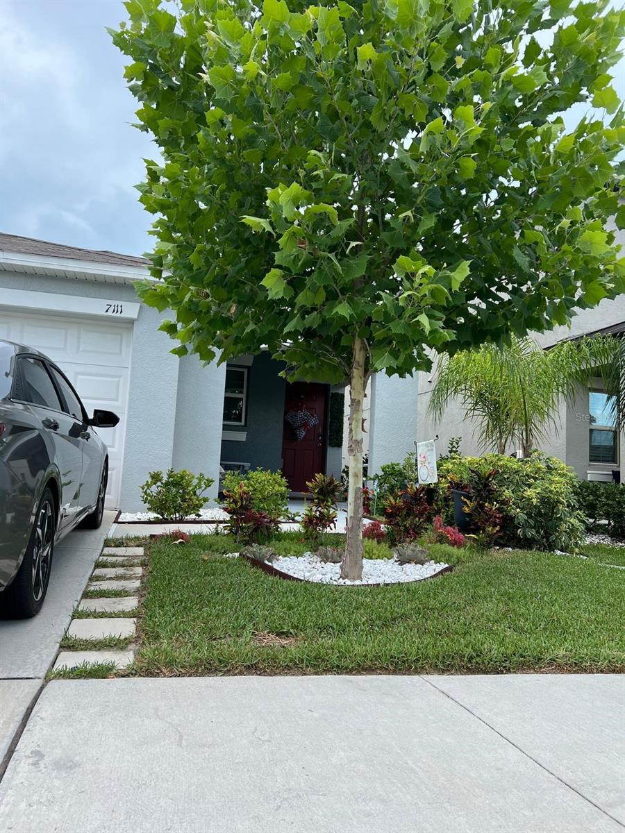7111 AMELIA COVE CT, SUN CITY CENTER, FL, 33573