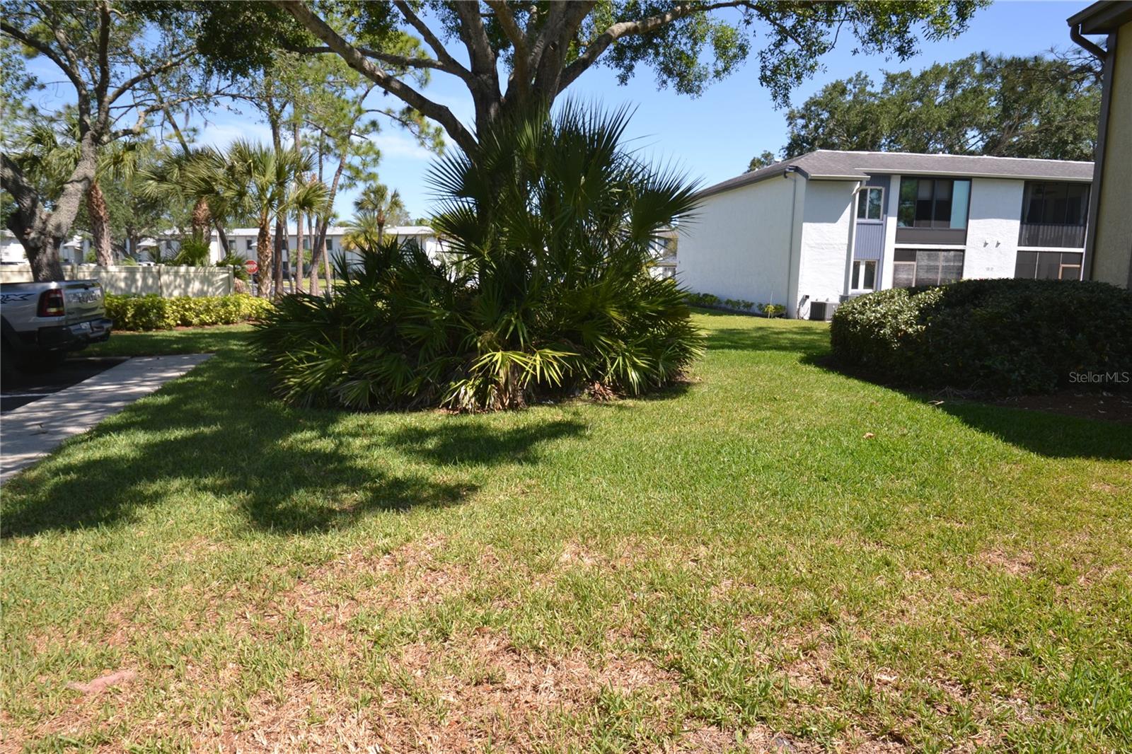 336 WOODLAKE WYNDE, OLDSMAR, FL, 34677
