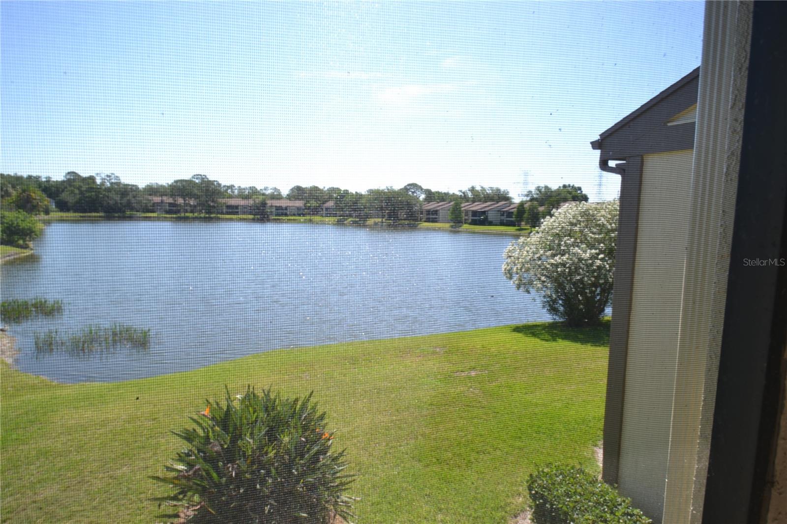 336 WOODLAKE WYNDE, OLDSMAR, FL, 34677