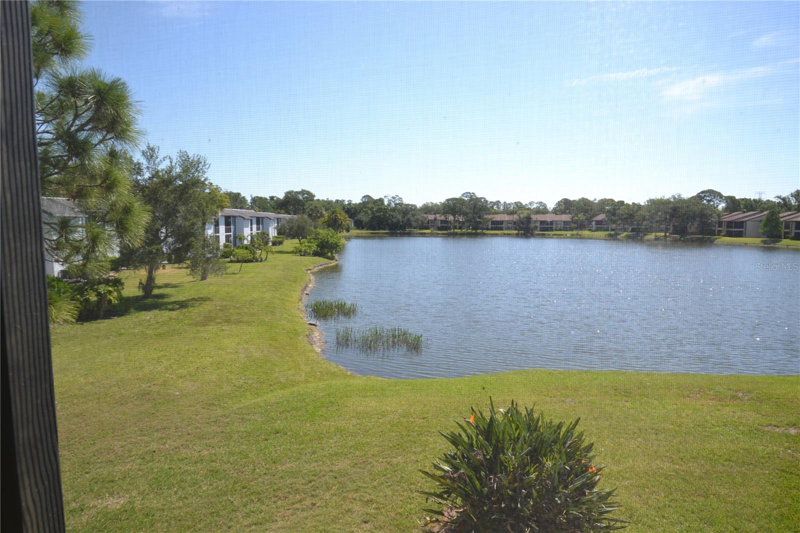 336 WOODLAKE WYNDE, OLDSMAR, FL, 34677