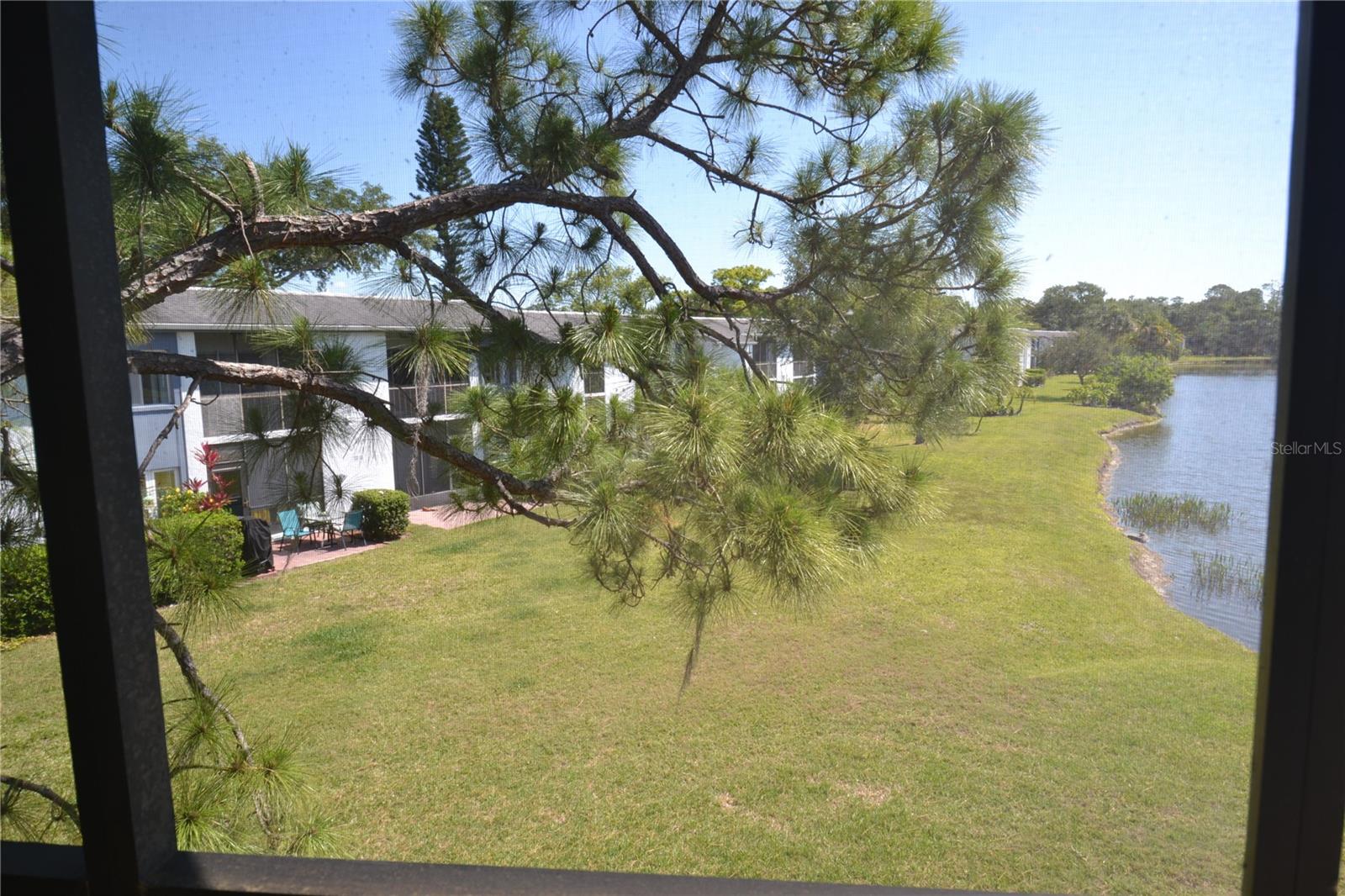336 WOODLAKE WYNDE, OLDSMAR, FL, 34677