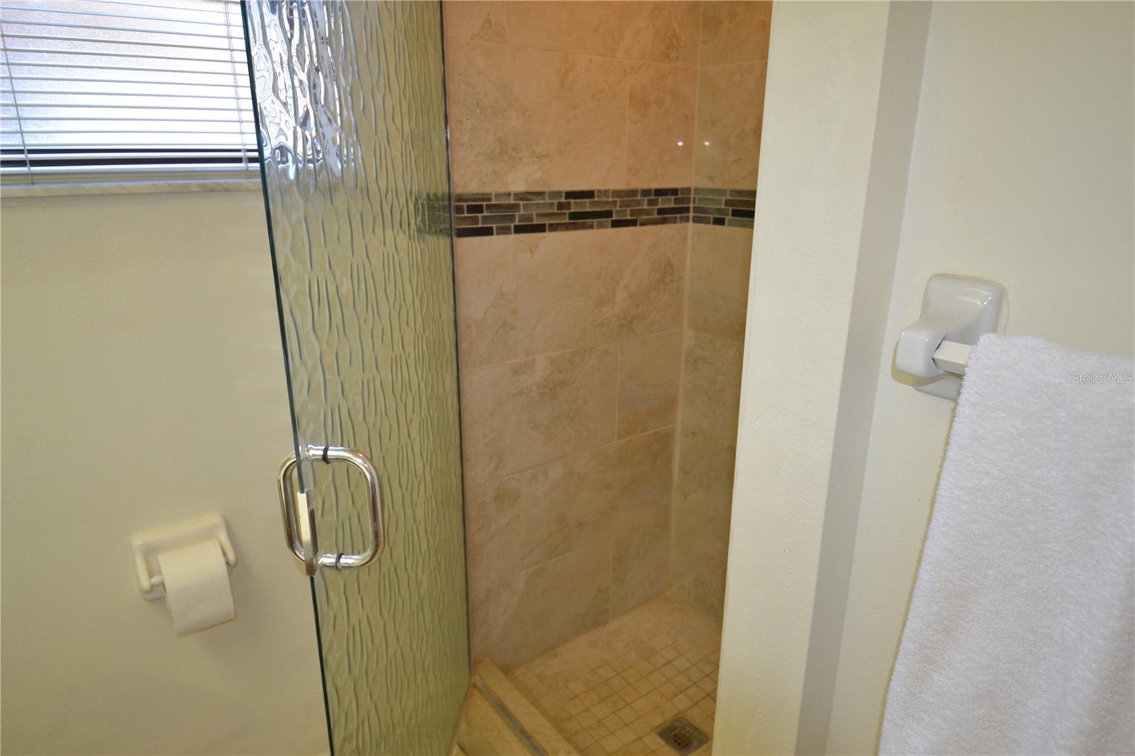 336 WOODLAKE WYNDE, OLDSMAR, FL, 34677