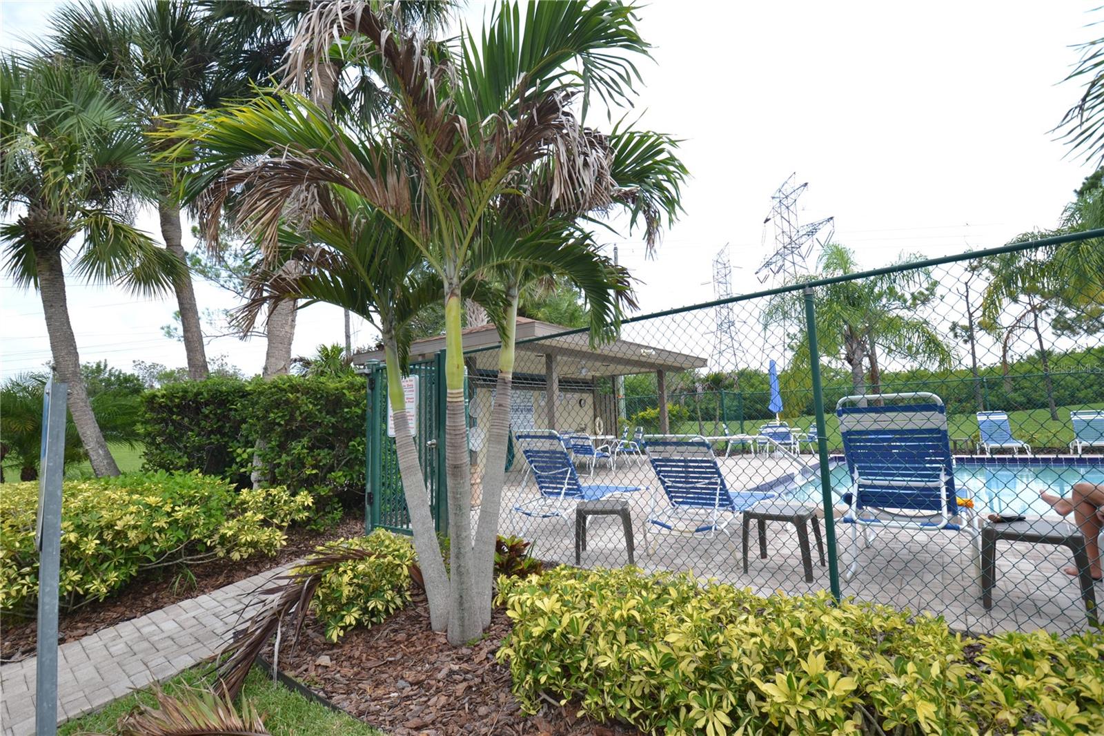 336 WOODLAKE WYNDE, OLDSMAR, FL, 34677