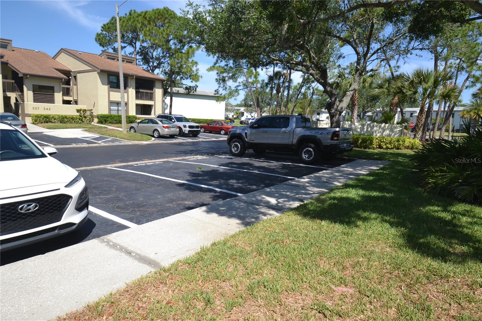 336 WOODLAKE WYNDE, OLDSMAR, FL, 34677