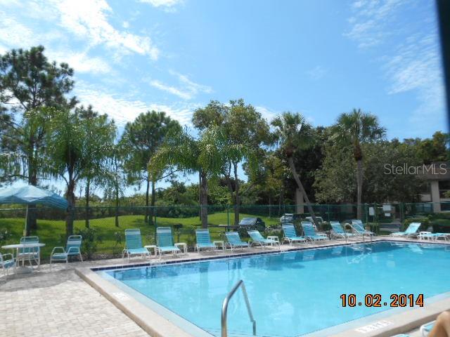 336 WOODLAKE WYNDE, OLDSMAR, FL, 34677