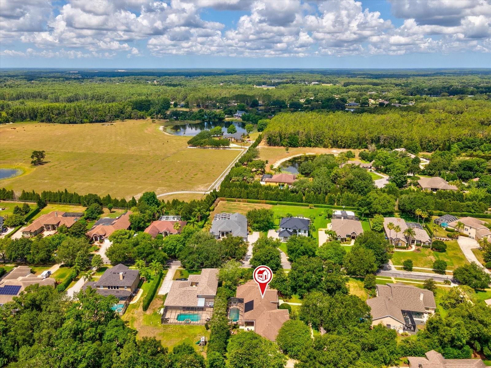 19617 EAGLE CREST DR, LUTZ, FL, 33549