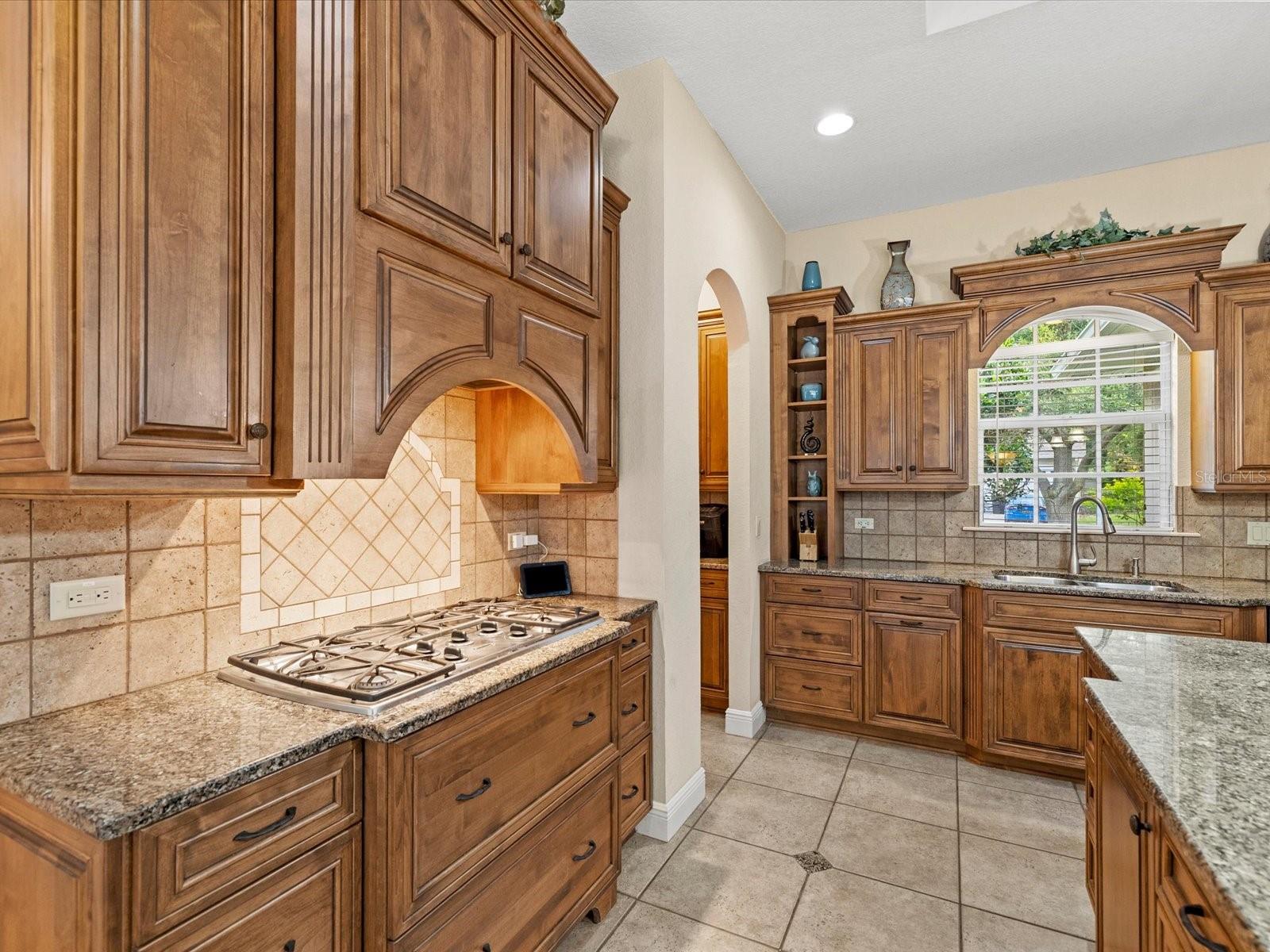19617 EAGLE CREST DR, LUTZ, FL, 33549