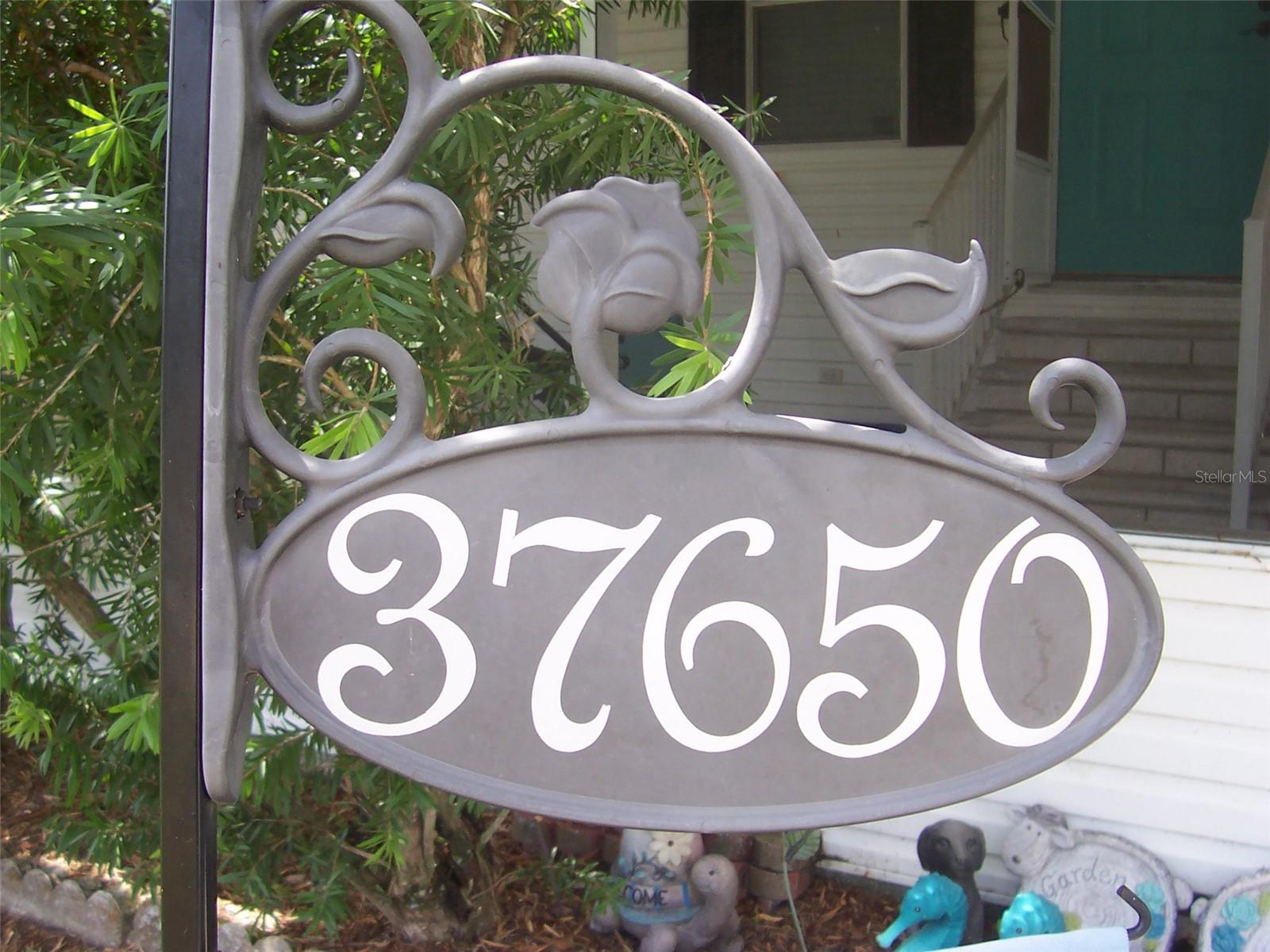 37650 NEWAL AVE, ZEPHYRHILLS, FL, 33542