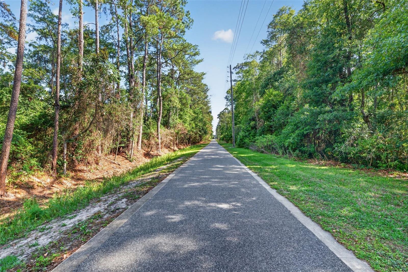 2305 NW 44TH PL, GAINESVILLE, FL, 32605