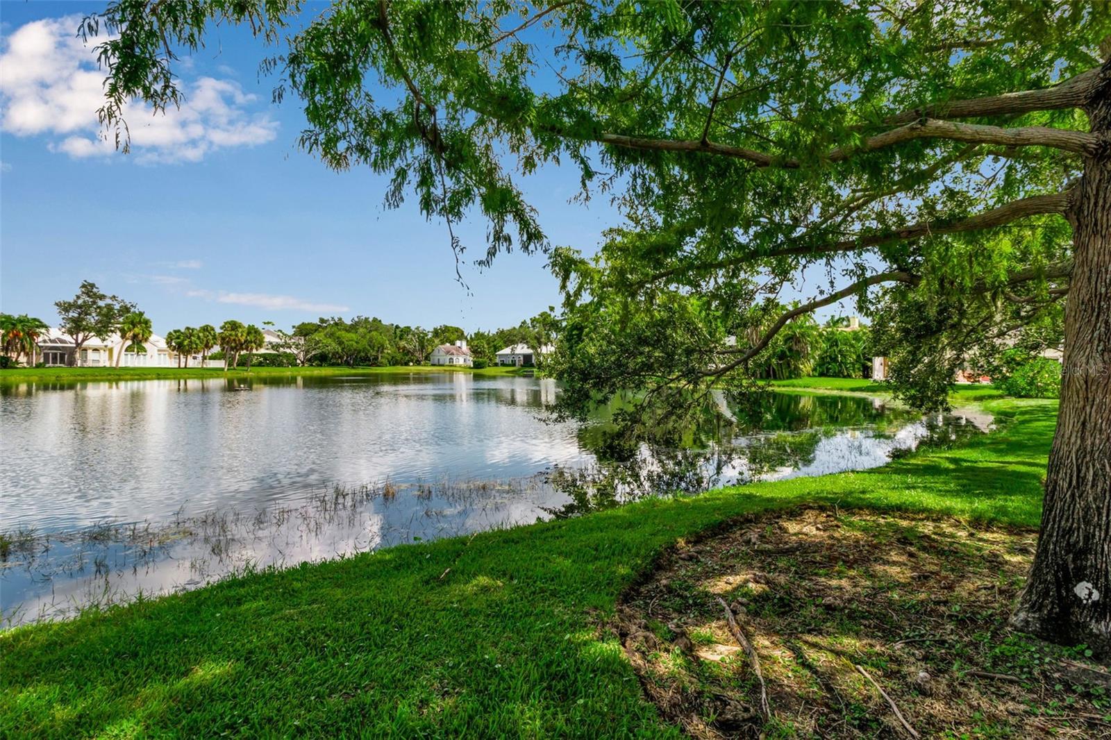 101 OSPREY POINT DR, OSPREY, FL, 34229