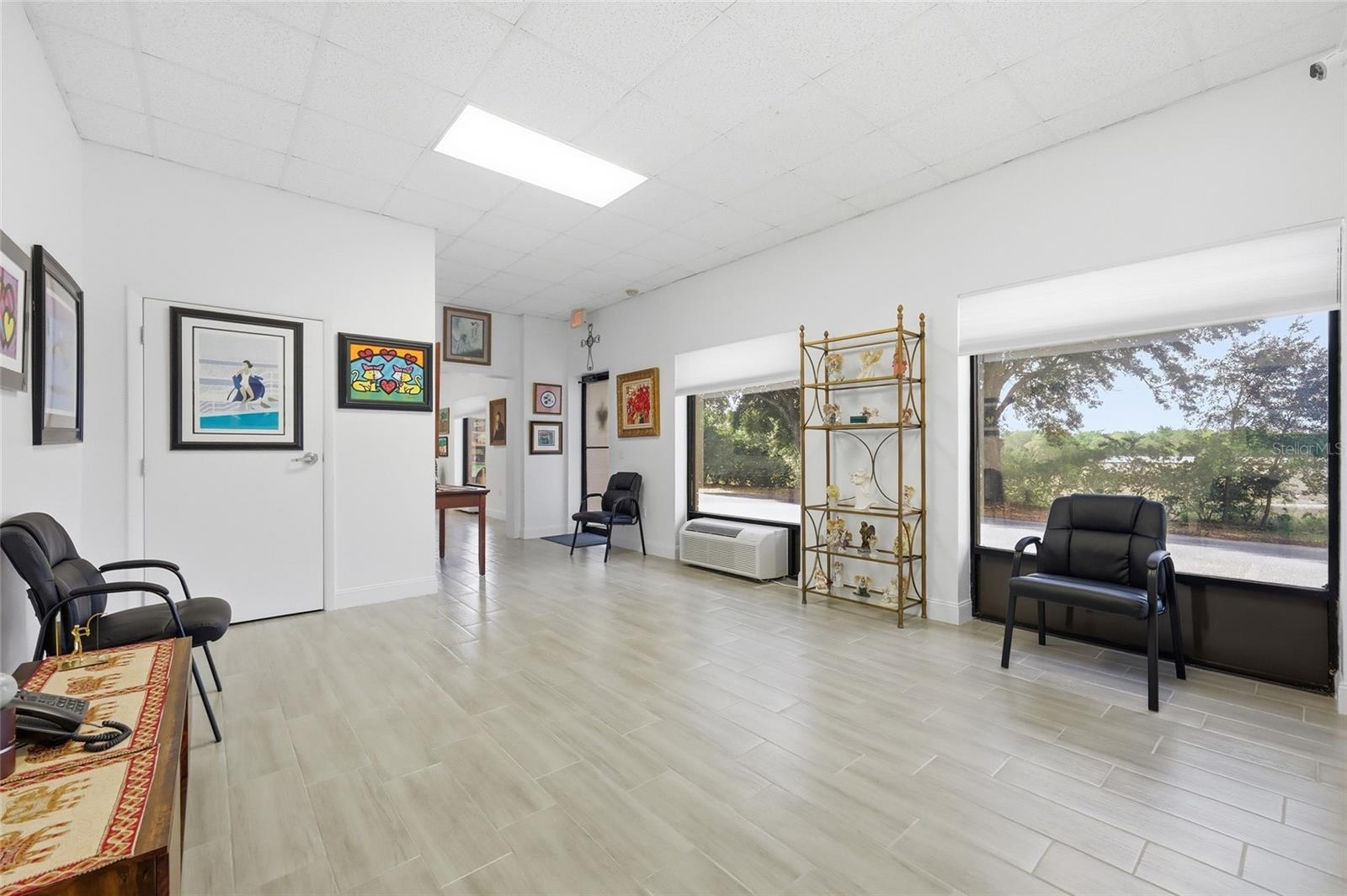 30924 SUNEAGLE DR #Suite 201-203, MOUNT DORA, FL, 32757