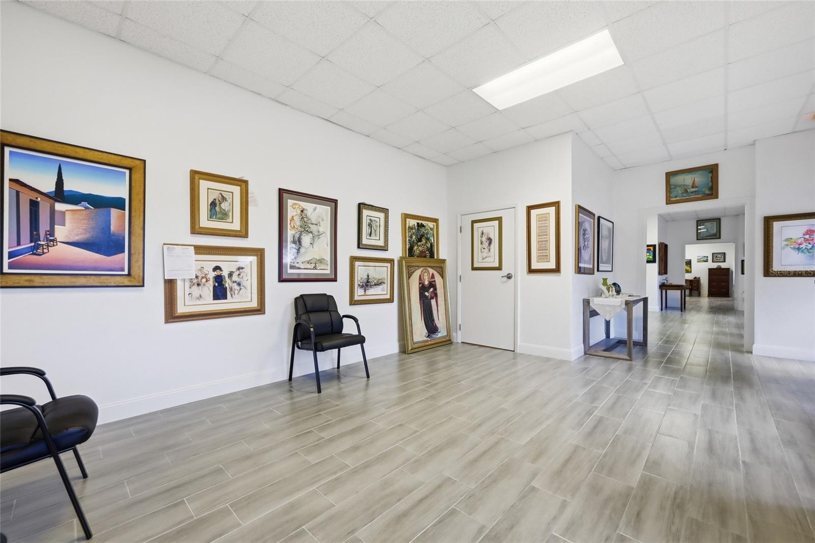 30924 SUNEAGLE DR #Suite 201-203, MOUNT DORA, FL, 32757