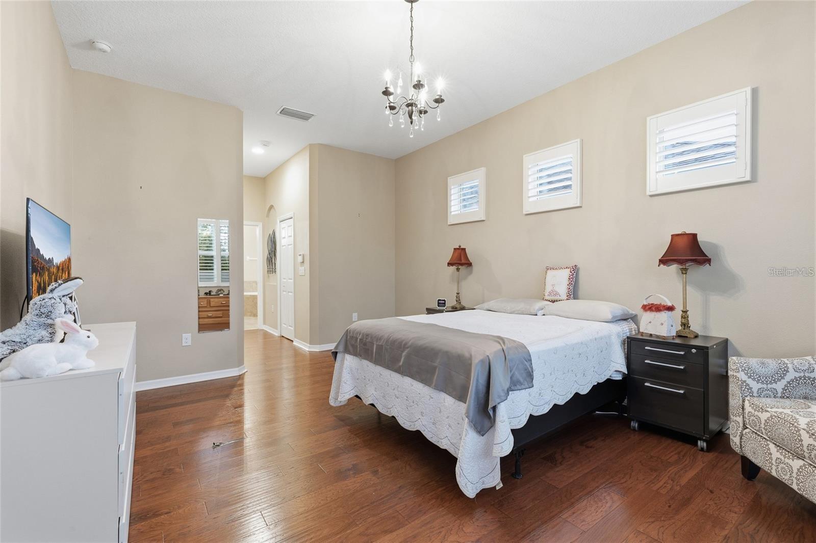 8683 BRIDGEPORT BAY CIR, MOUNT DORA, FL, 32757