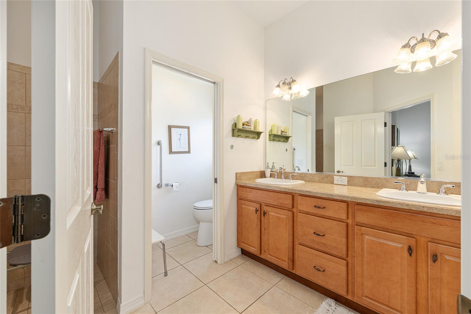 2047 DUNSTER CT, THE VILLAGES, FL, 32162