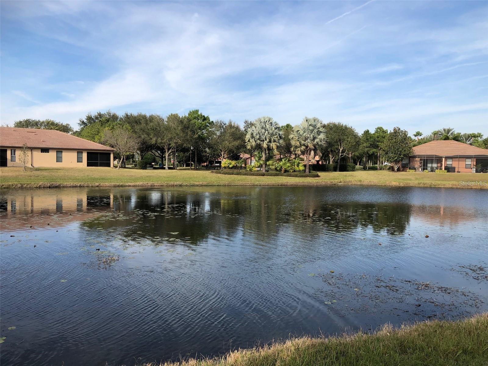 140 SHELL FALLS DR, APOLLO BEACH, FL, 33572