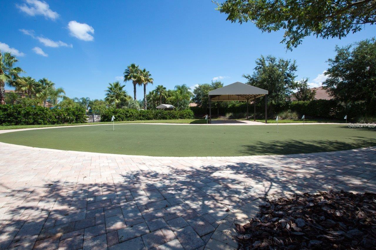 140 SHELL FALLS DR, APOLLO BEACH, FL, 33572
