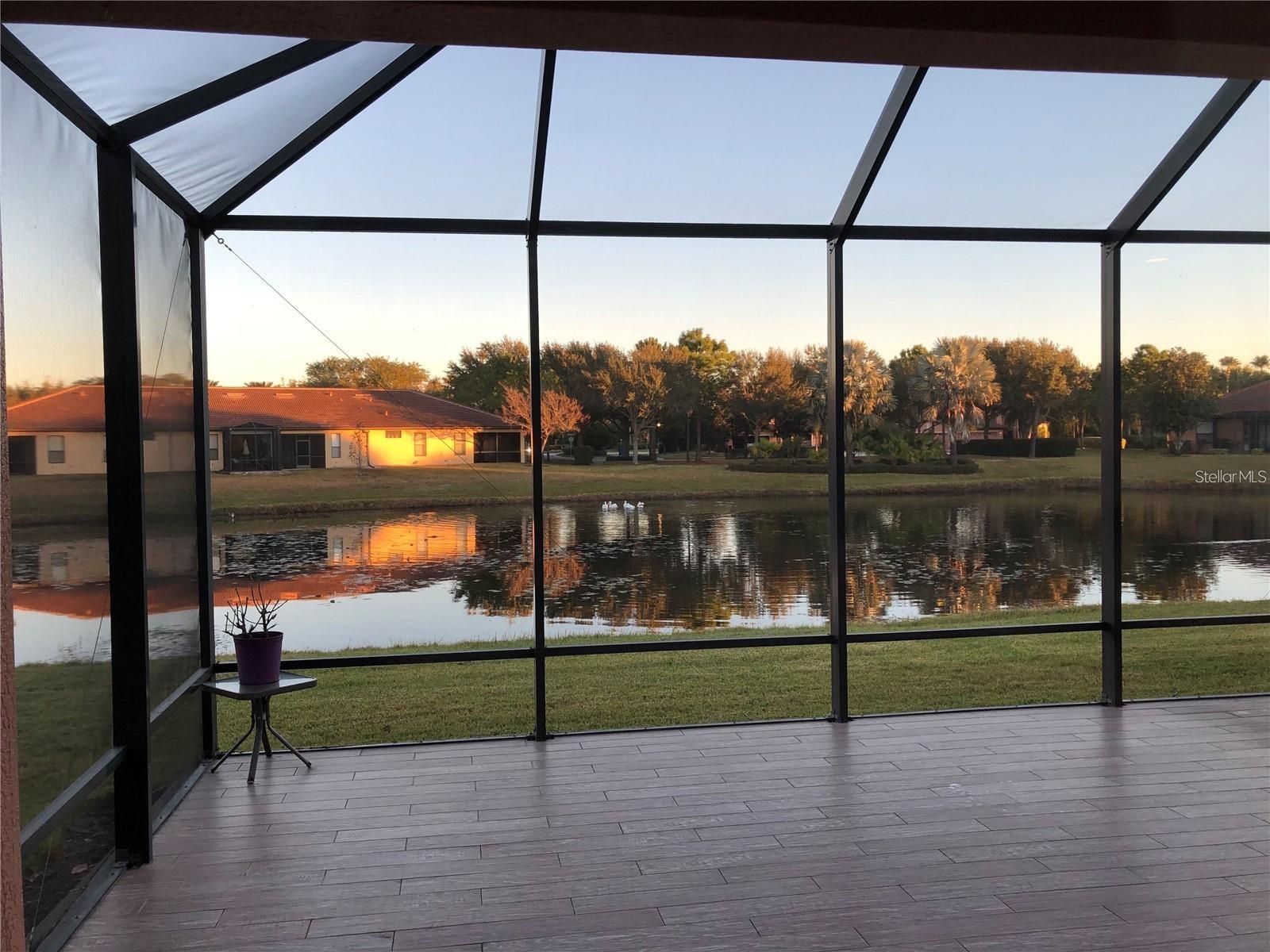 140 SHELL FALLS DR, APOLLO BEACH, FL, 33572
