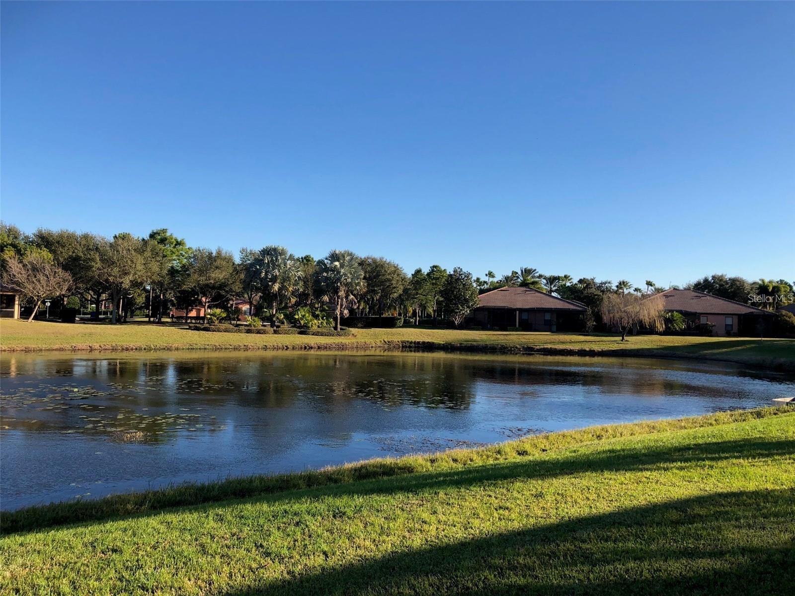 140 SHELL FALLS DR, APOLLO BEACH, FL, 33572