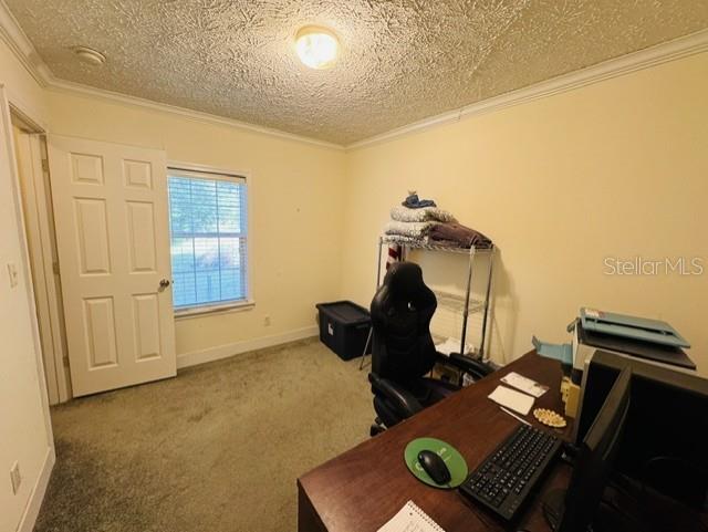 11817 SW 58TH ST, WEBSTER, FL, 33597