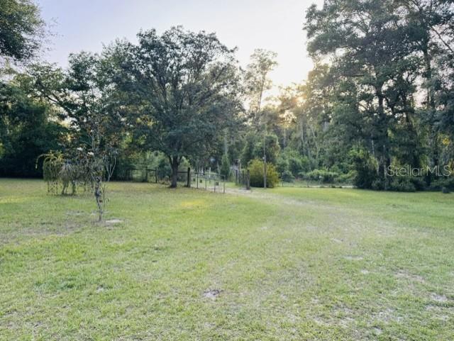 11817 SW 58TH ST, WEBSTER, FL, 33597
