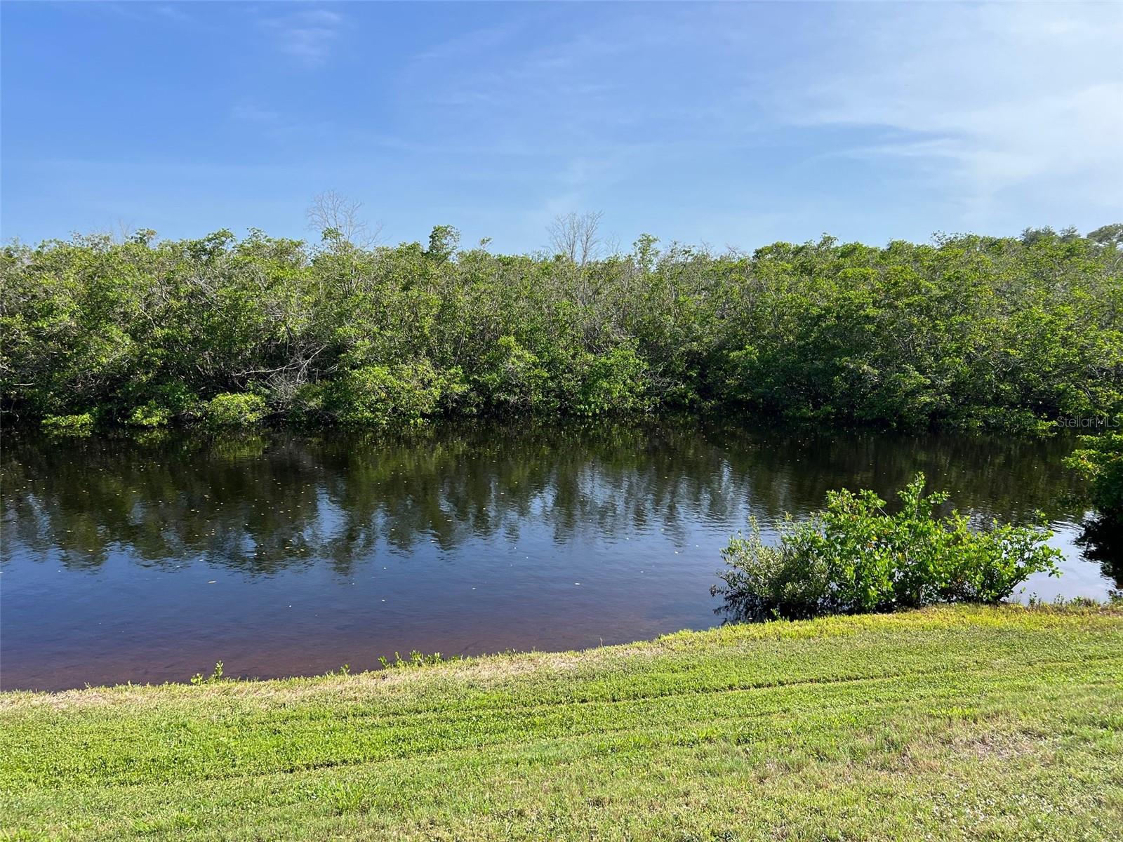 455 ALT 19 S #159, PALM HARBOR, FL, 34683