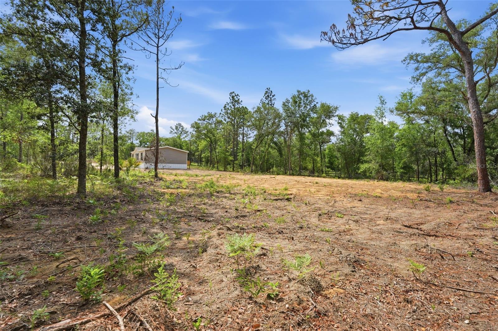 12671 NE 16TH ST, WILLISTON, FL, 32696
