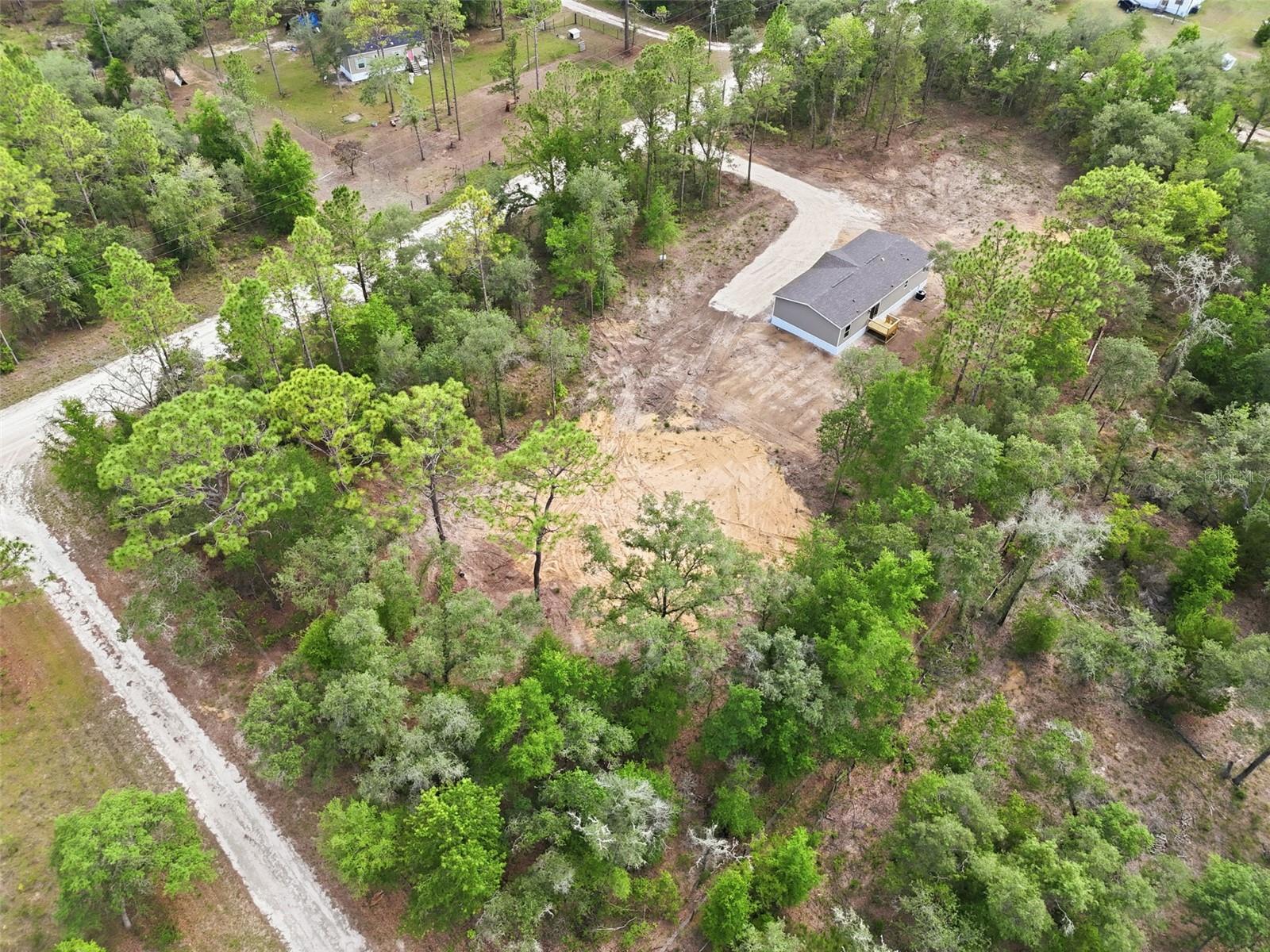 12671 NE 16TH ST, WILLISTON, FL, 32696