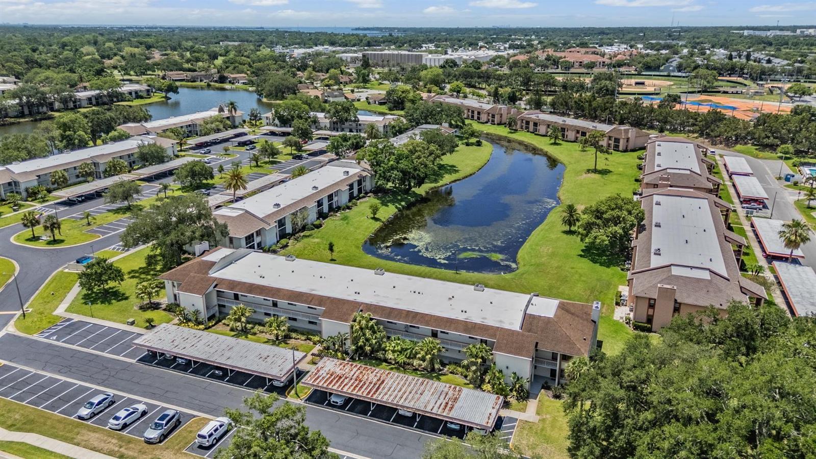 112 LAKEVIEW PL #12, OLDSMAR, FL, 34677