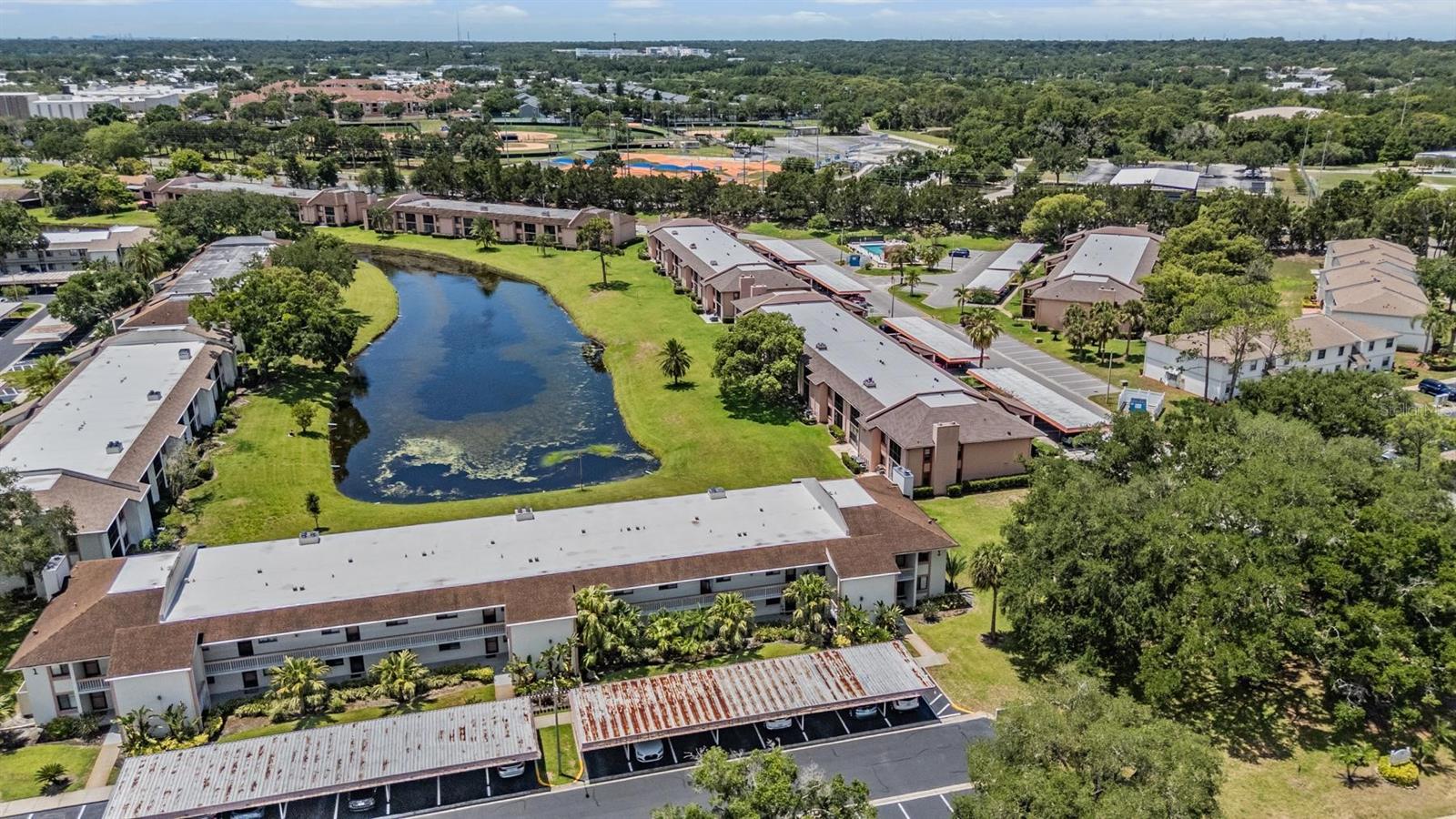 112 LAKEVIEW PL #12, OLDSMAR, FL, 34677