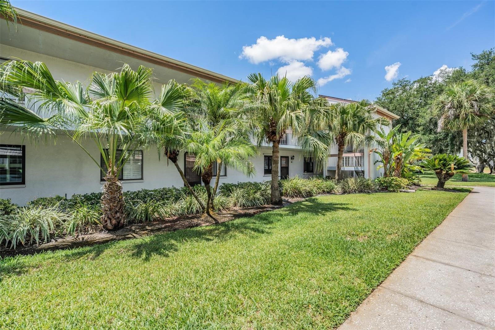 112 LAKEVIEW PL #12, OLDSMAR, FL, 34677