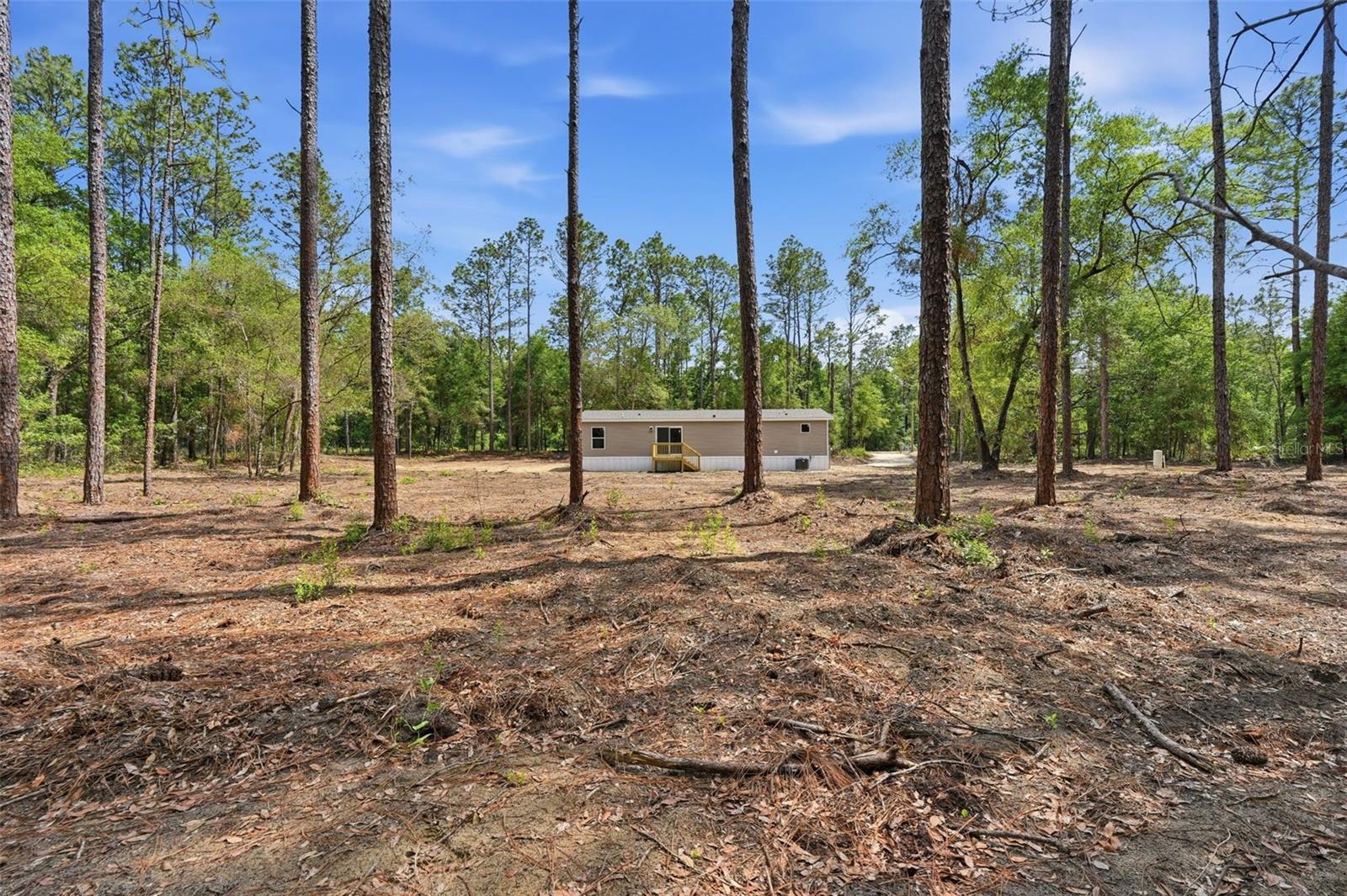 10451 NE 81ST ST, BRONSON, FL, 32621