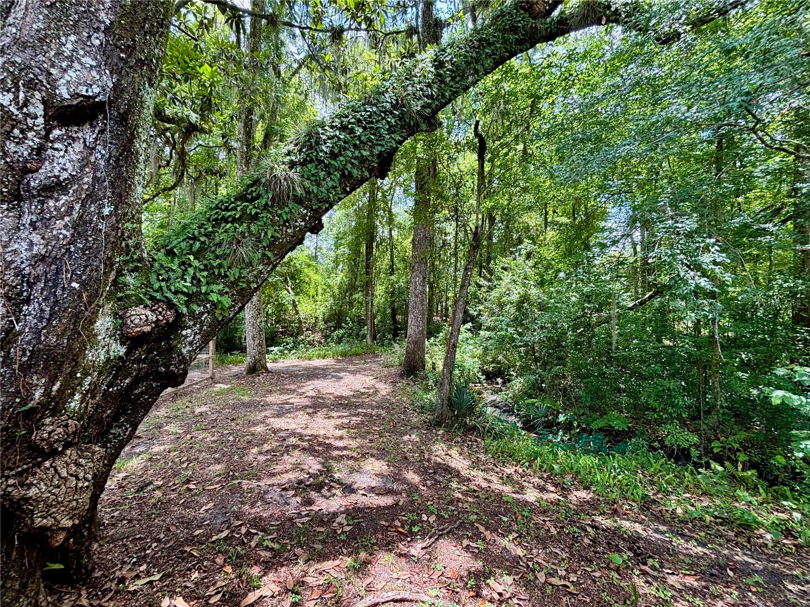4415 NW 33RD CT, GAINESVILLE, FL, 32606