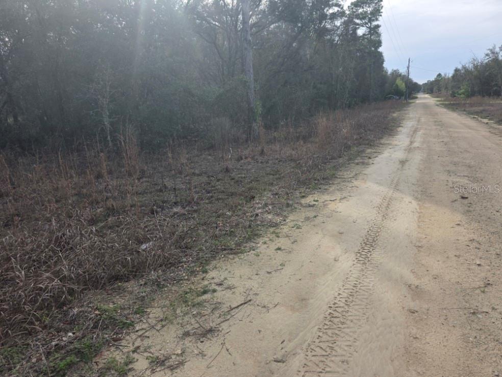 NE 60 PL, BRONSON, FL, 32621