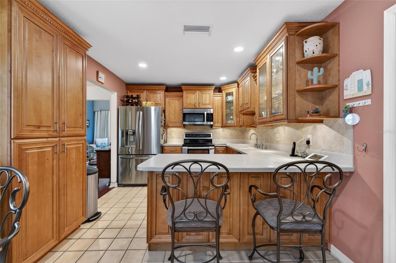 1311 W CARISSA CT, TAMPA, FL, 33604