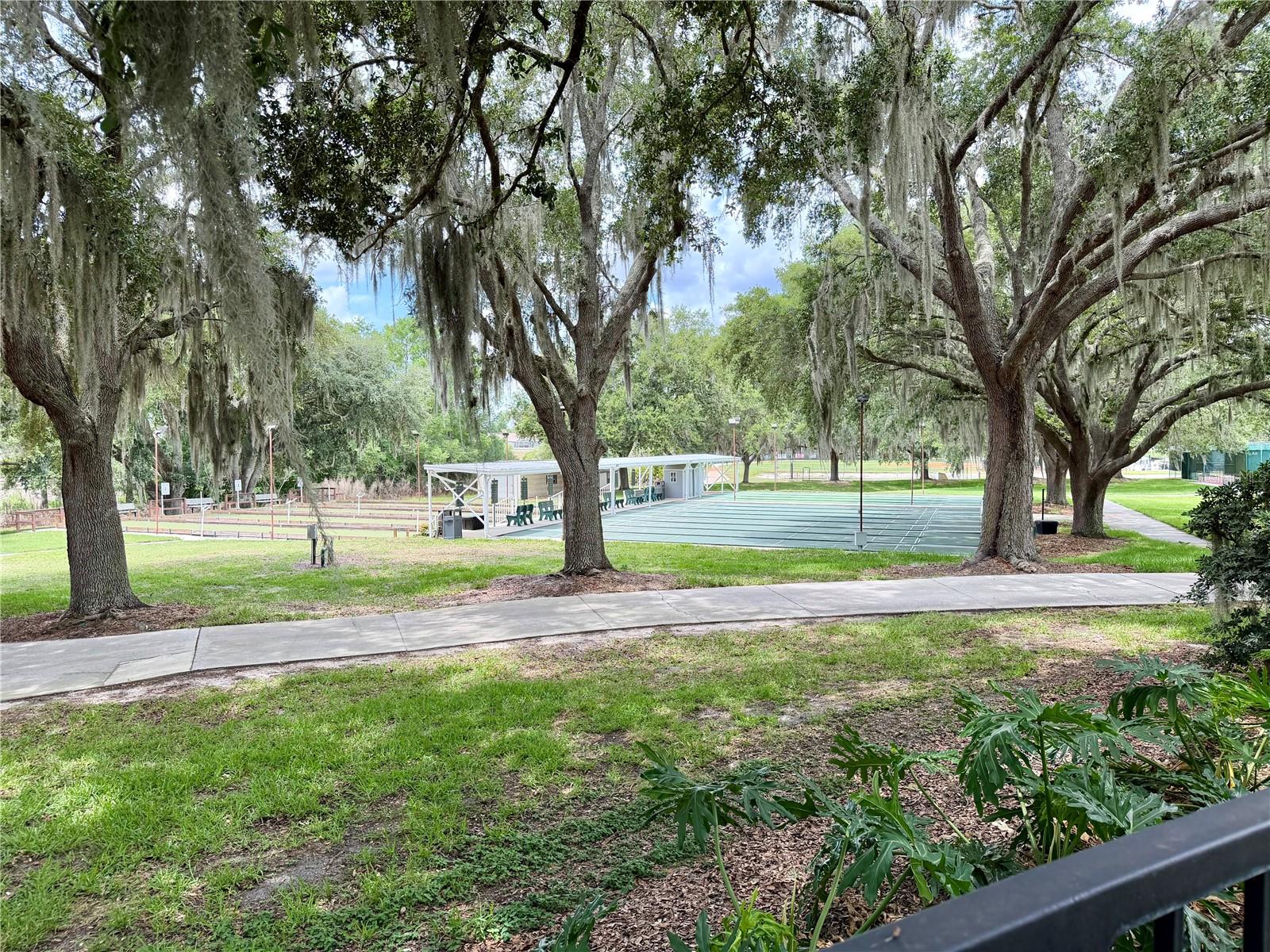25510 BELLE ALLIANCE, LEESBURG, FL, 34748