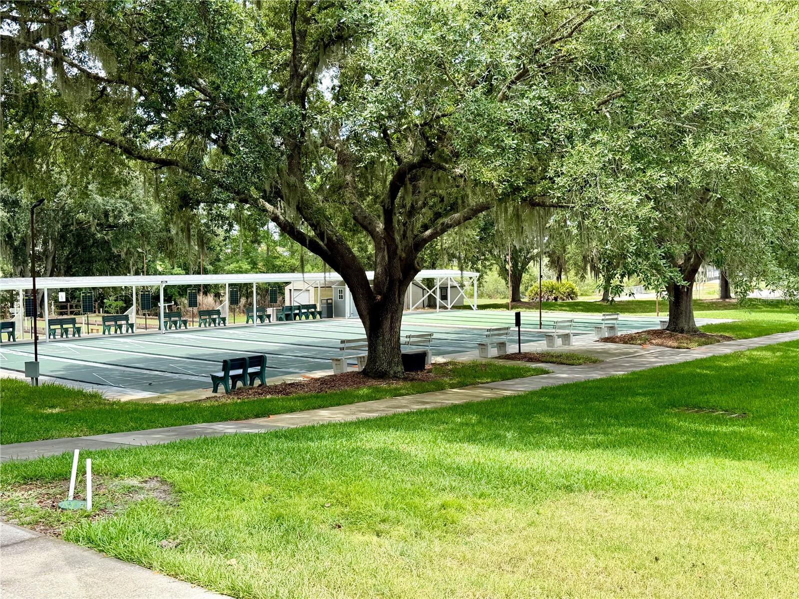 25510 BELLE ALLIANCE, LEESBURG, FL, 34748