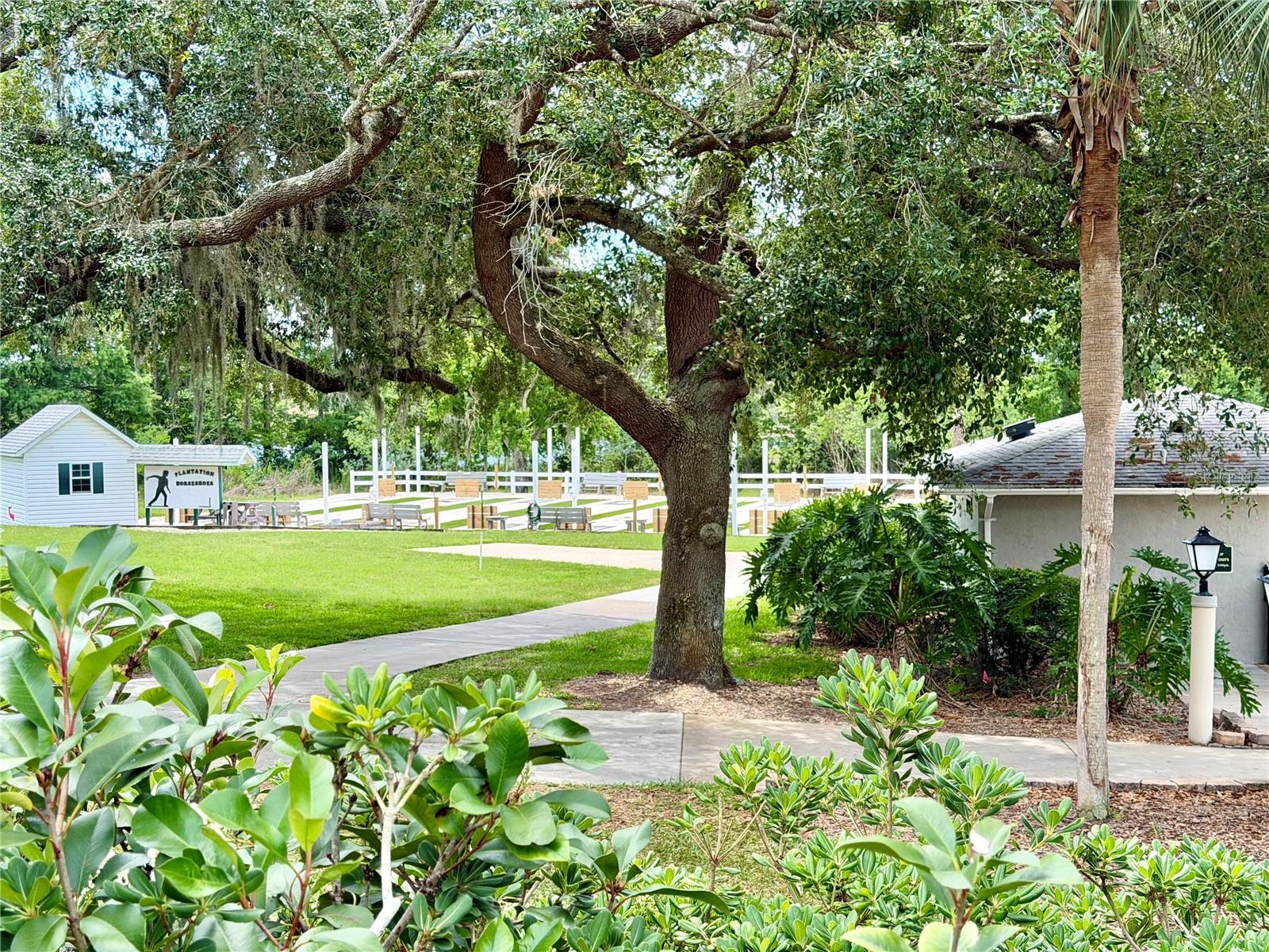 25510 BELLE ALLIANCE, LEESBURG, FL, 34748