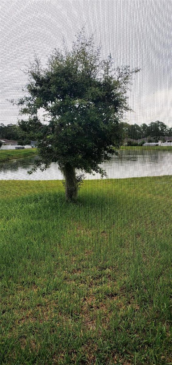 4592 BIG ISLAND DR, KISSIMMEE, FL, 34746