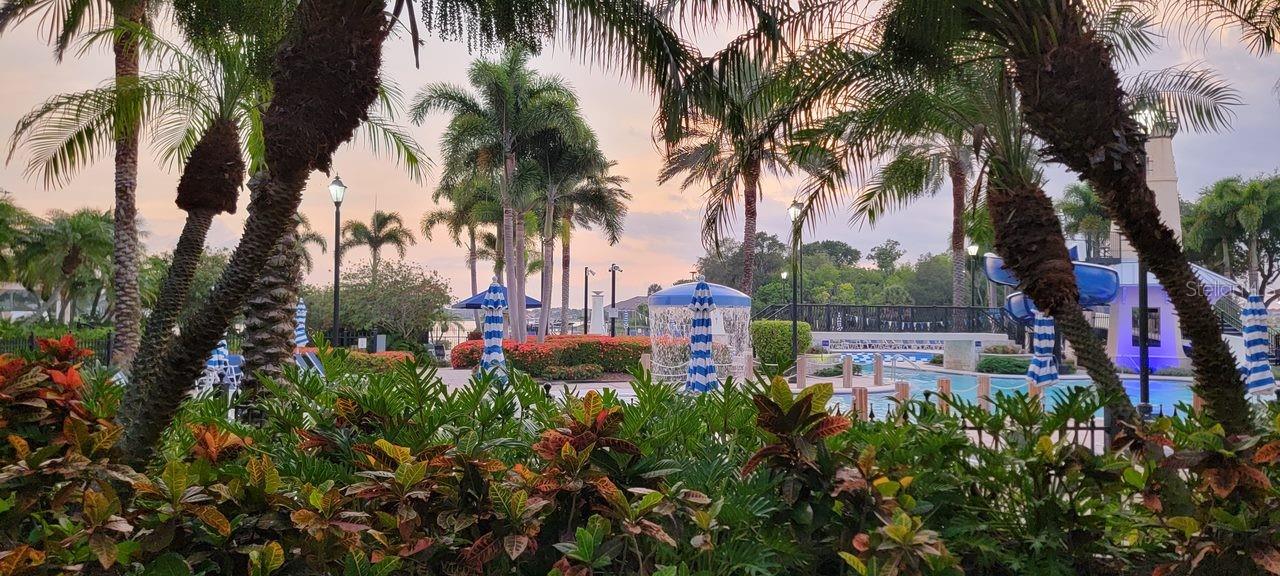 204 SHELL CREEK CT, APOLLO BEACH, FL, 33572