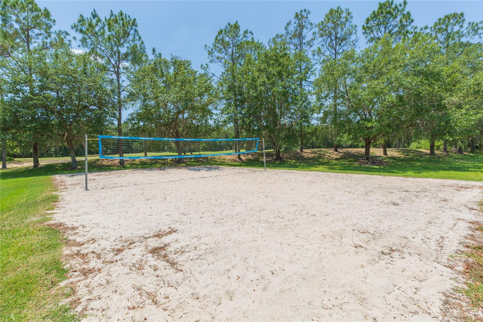 5315 SPECTACULAR BID DR, WESLEY CHAPEL, FL, 33544