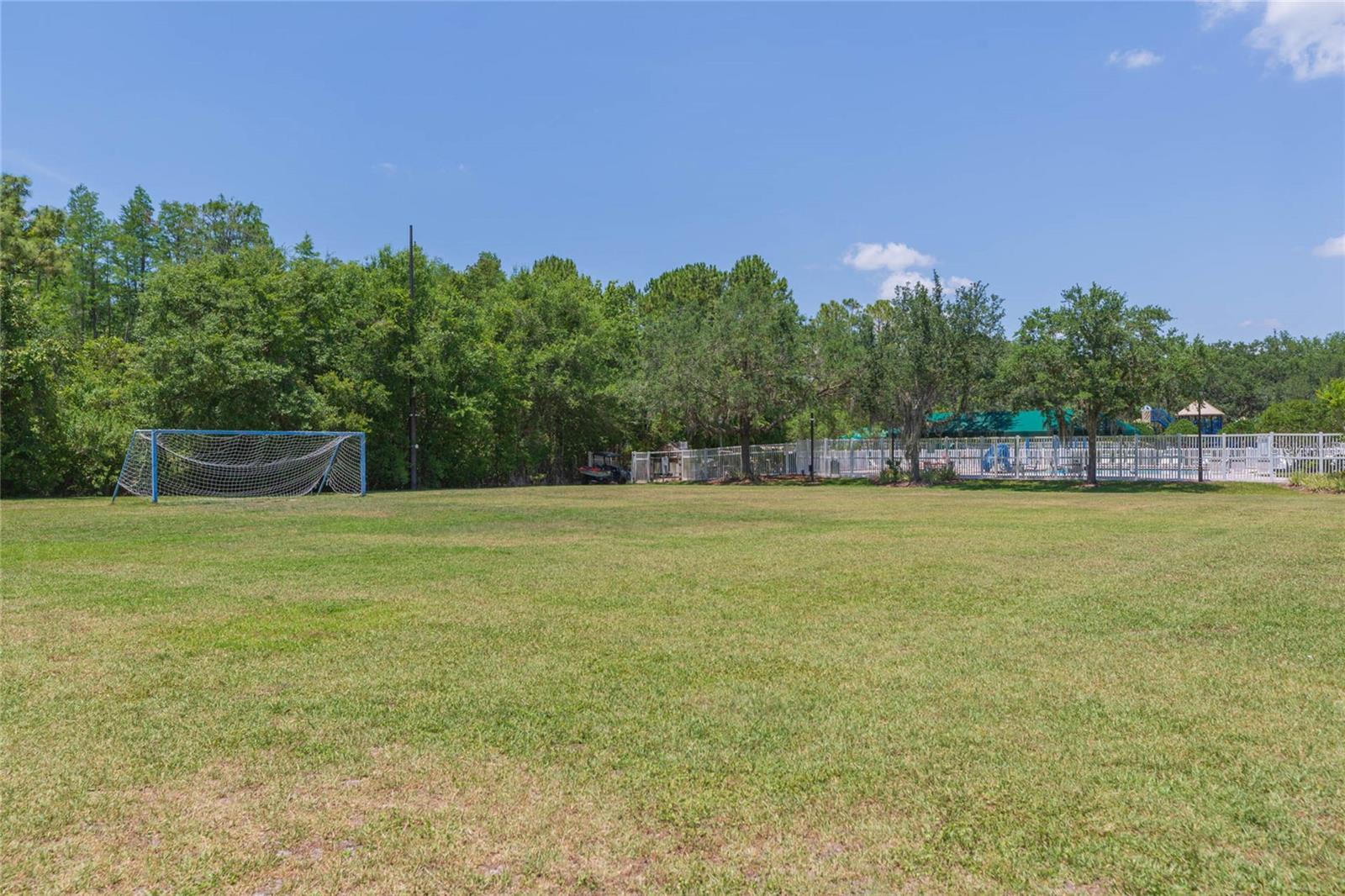 5315 SPECTACULAR BID DR, WESLEY CHAPEL, FL, 33544