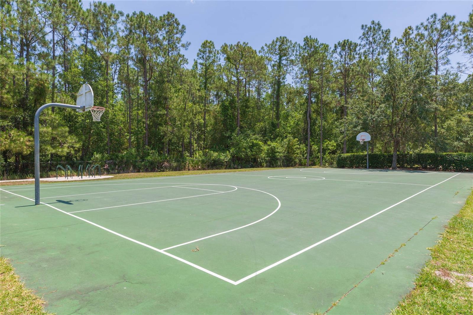 5315 SPECTACULAR BID DR, WESLEY CHAPEL, FL, 33544