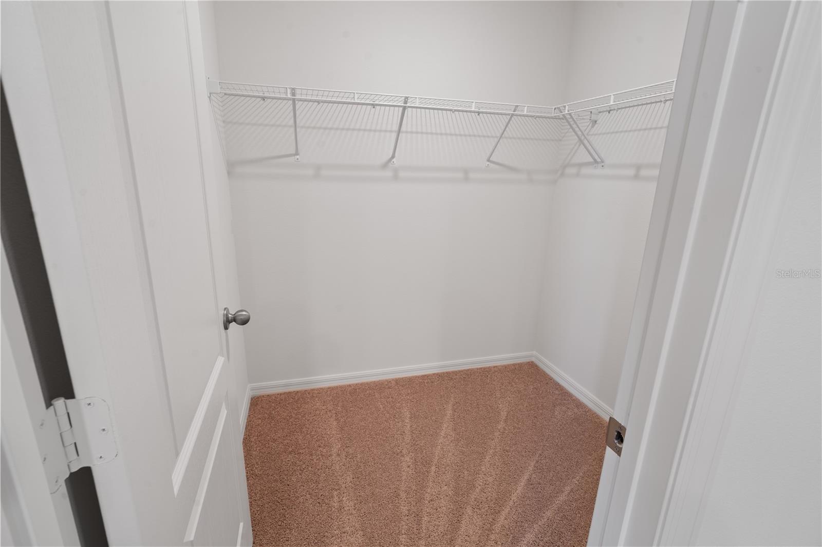 1774 WHITE ELEPHANT LOOP, WINTER HAVEN, FL, 33884