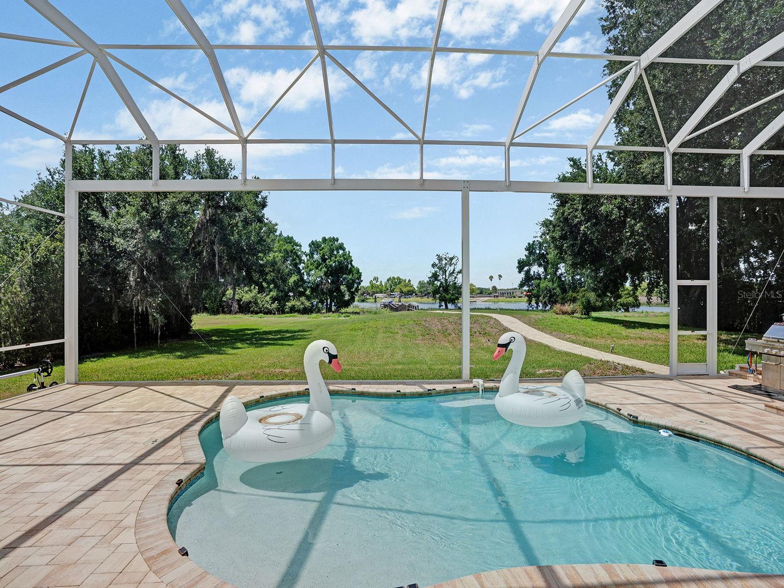 16270 FOREST MIST CT, ALVA, FL, 33920