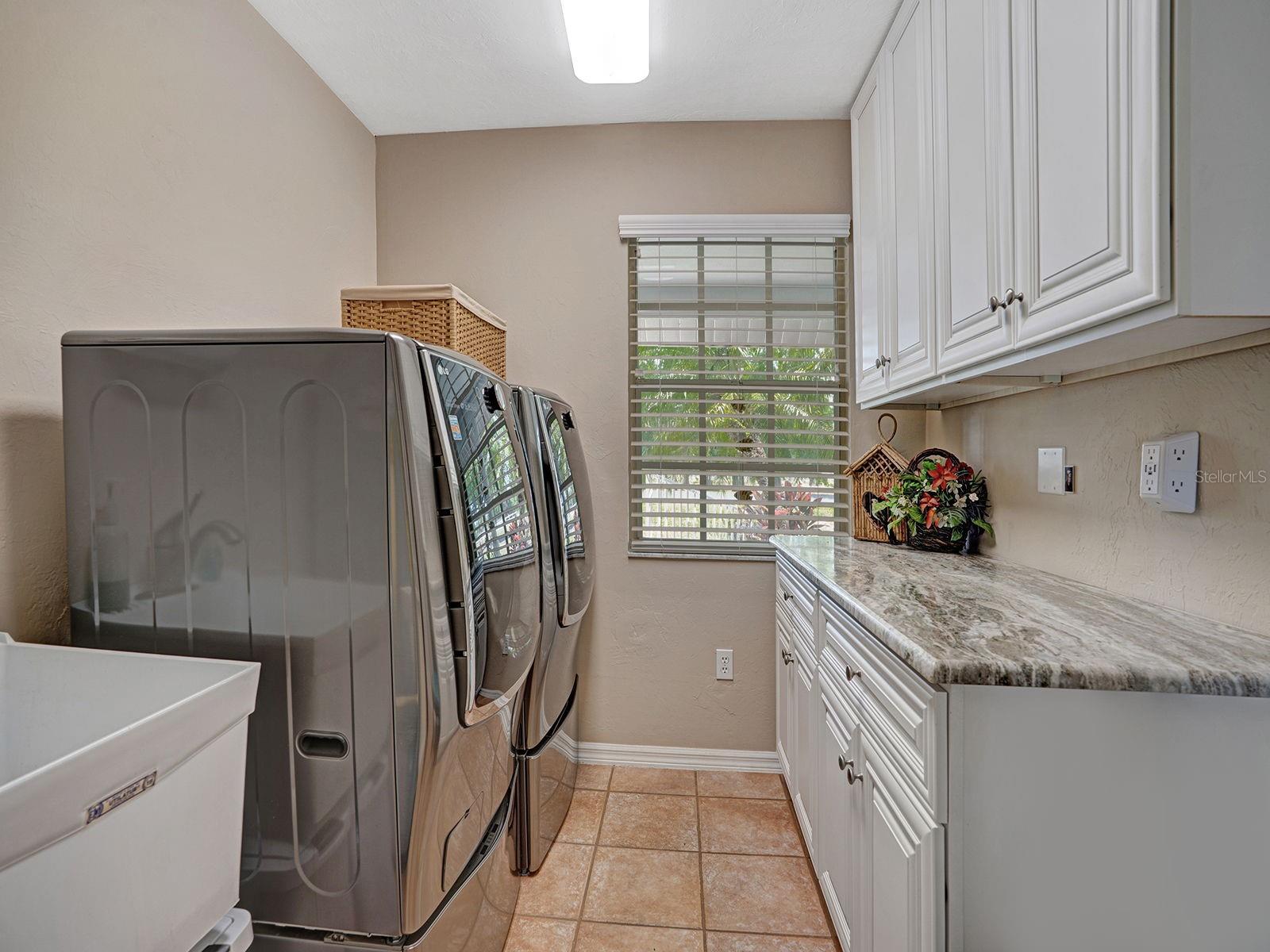 16270 FOREST MIST CT, ALVA, FL, 33920