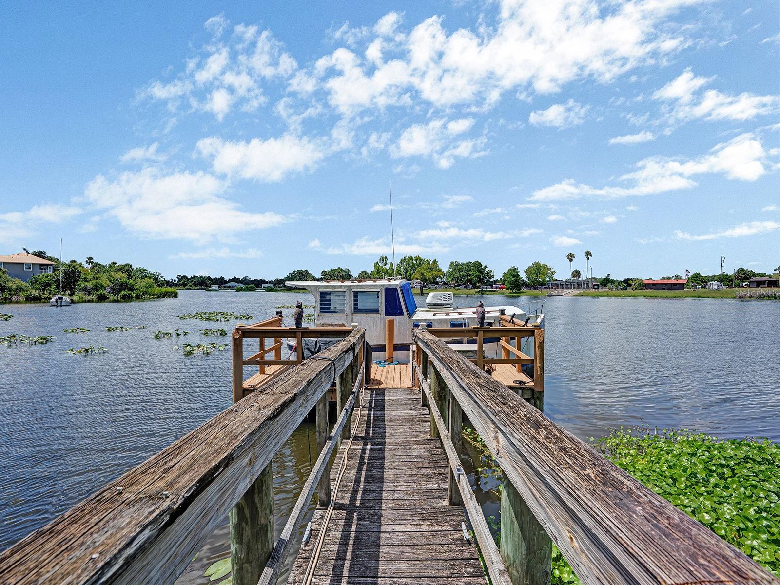 16270 FOREST MIST CT, ALVA, FL, 33920